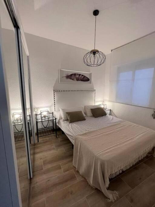 Appartamento Apartamento céntrico y en primera línea de playa Benidorm Esterno foto