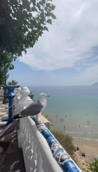 Appartamento Apartamento céntrico y en primera línea de playa Benidorm Esterno foto