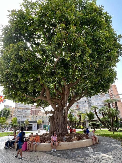 Appartamento Apartamento céntrico y en primera línea de playa Benidorm Esterno foto