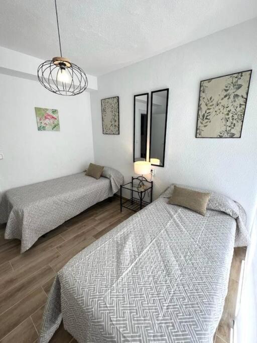Appartamento Apartamento céntrico y en primera línea de playa Benidorm Esterno foto