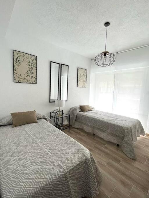 Appartamento Apartamento céntrico y en primera línea de playa Benidorm Esterno foto